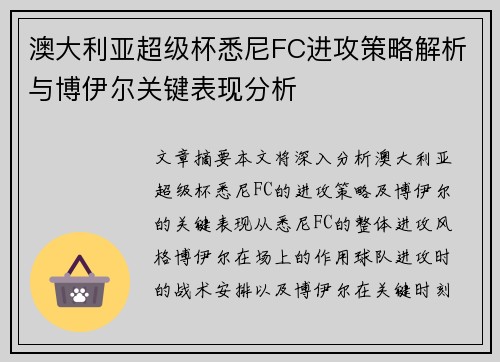 澳大利亚超级杯悉尼FC进攻策略解析与博伊尔关键表现分析