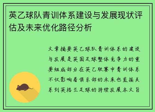 英乙球队青训体系建设与发展现状评估及未来优化路径分析